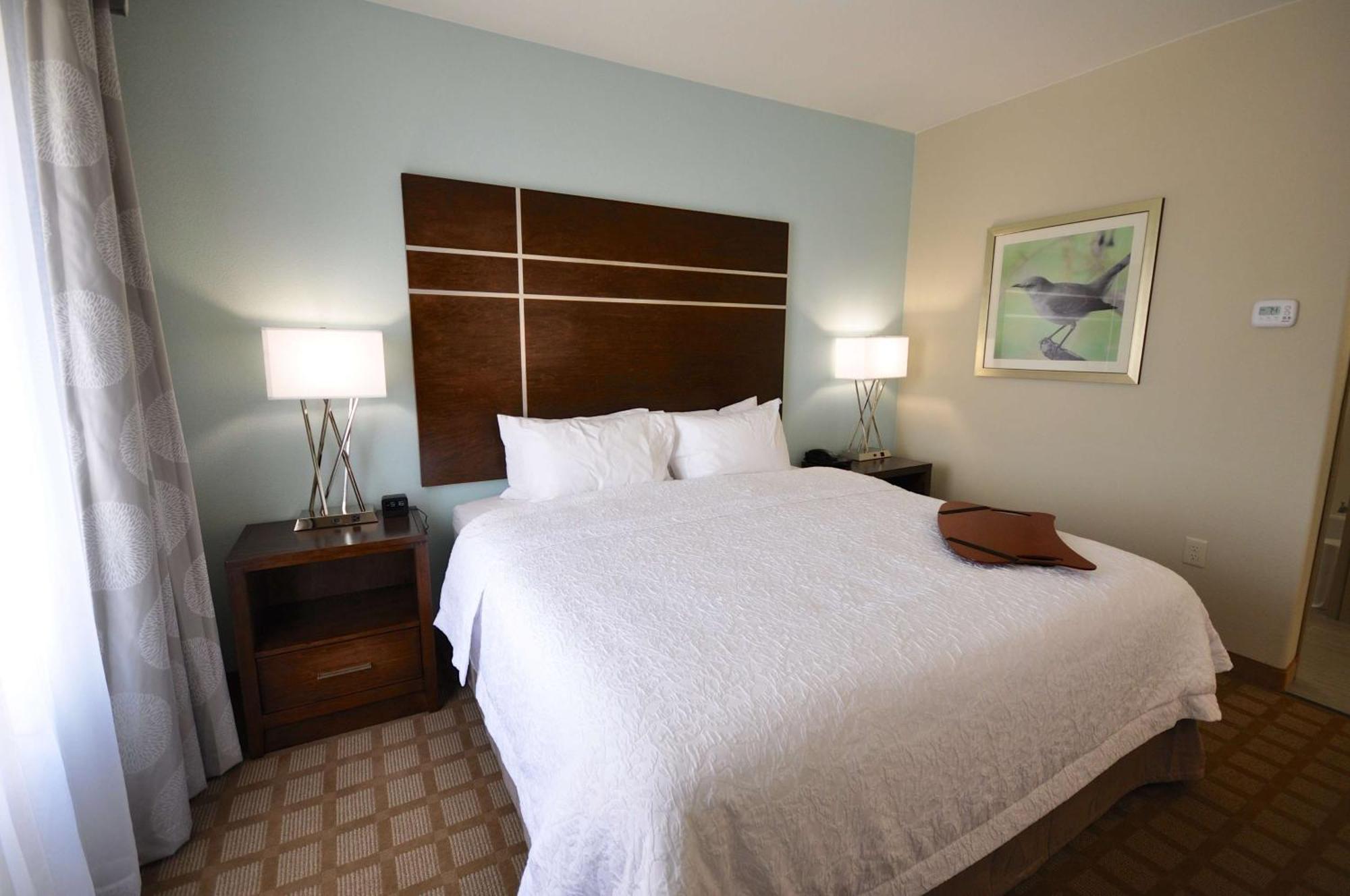 Hampton Inn And Suites Hutto Ngoại thất bức ảnh
